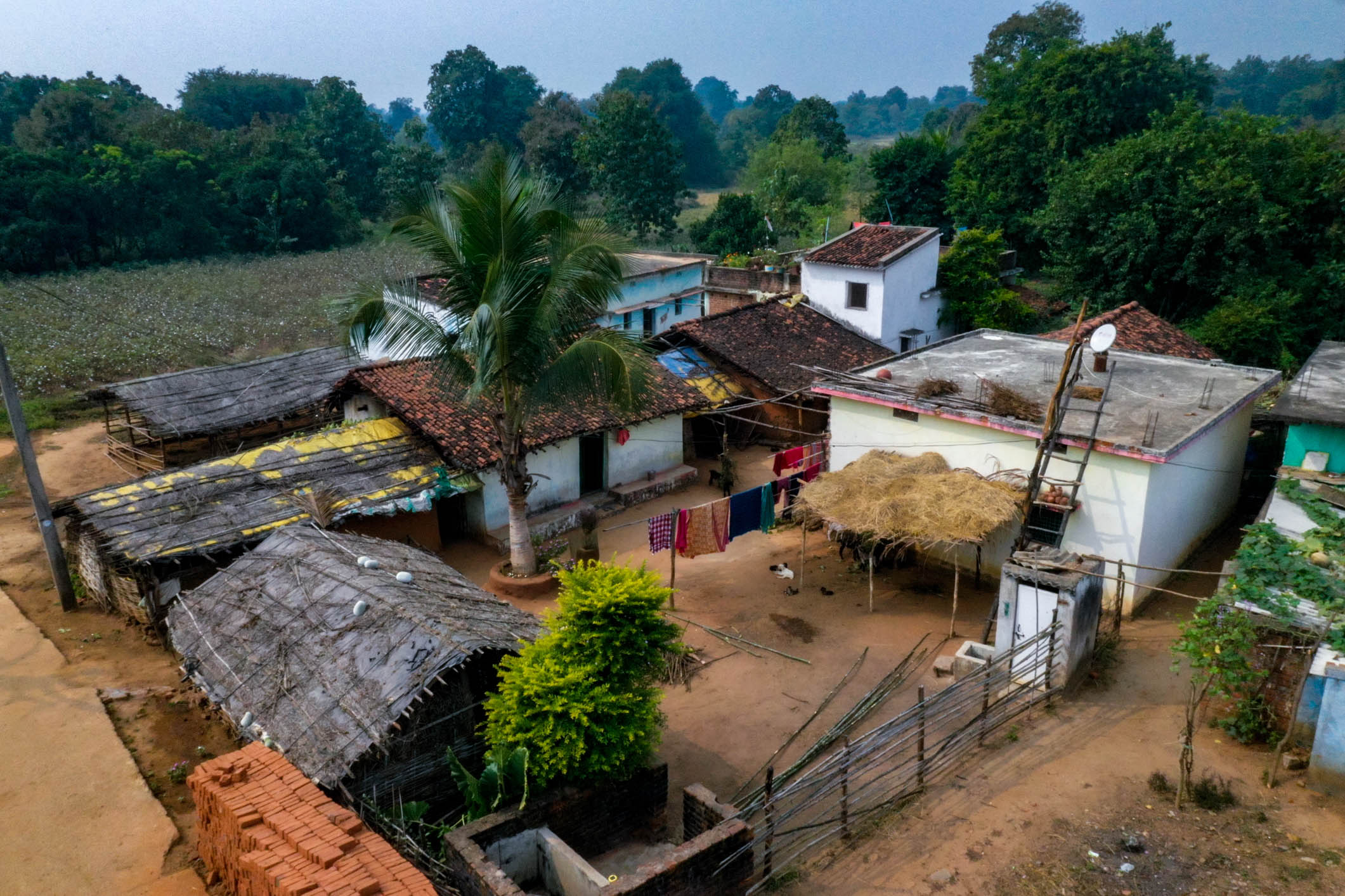 Nature conservation storytelling