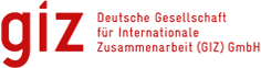 giz logo logo